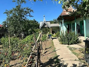 Casa de vanzare sat Nifon comuna Hamcearca judet Tulcea - imagine 3
