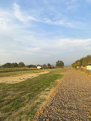 Vând 4 parcele de teren intravilan in Coltău,pe strada Magnoliei,de 11 Ari și unul de 12.43 - imagine 3