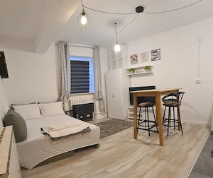 apartament tip studio la curte - imagine 2