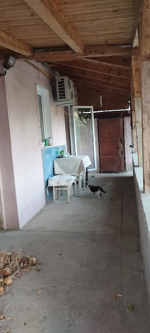 Vând casa in Parța ( la intrare in comuna) - imagine 10