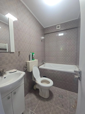 Studio 2 Camere Demisol,  Strada Trandafirilor, Fundeni Dobroești  - imagine 3