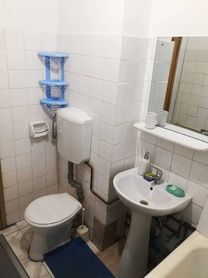 Garsoniera de inchiriat Piata Iancului- Liceul Hasdeu. Pet friendly - imagine 8