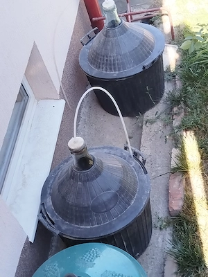 Damigene 50 l