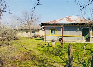 Letca Veche, Giurgiu 2.500 mp intravilan construibil + 4.500 mp extravilan + 700 mp vii letca veche - imagine 8