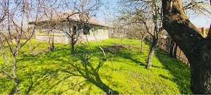 Letca Veche, Giurgiu 2.500 mp intravilan construibil + 4.500 mp extravilan + 700 mp vii letca veche - imagine 7