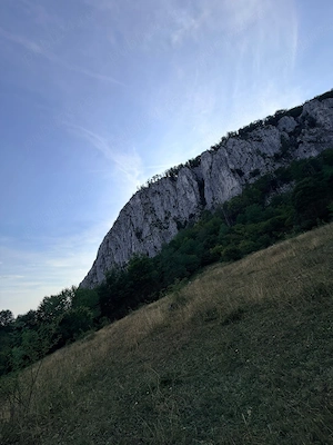   Teren in Munții Apusenii! - imagine 5
