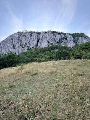   Teren in Munții Apusenii! - imagine 10