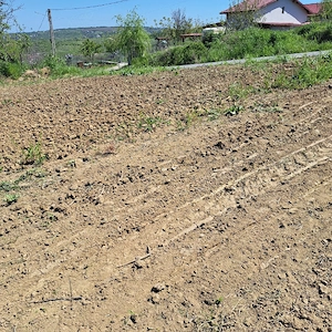 Vand teren in satul Goruni 