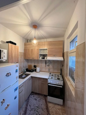 De vanzare apartament cu 2 camere in zona Sagului - imagine 5