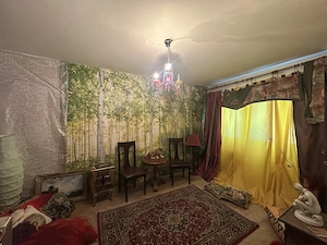 Agentia imobiliara VIGAFON vinde apartament 2 camere Nord-Cameliei - imagine 3