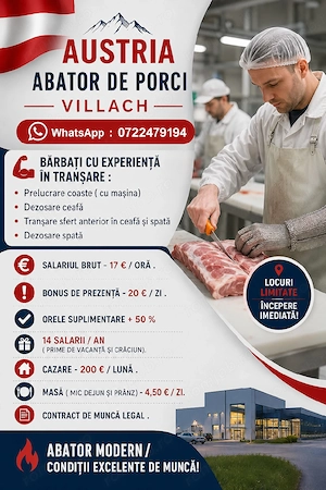 AUSTRIA  - Abator porc  - Villach  ! 