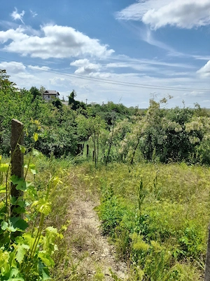Casă cu teren de 1.470 mp de vânzare – Fântânele, Scânteiești - imagine 37
