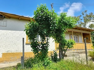Casă cu teren de 1.470 mp de vânzare – Fântânele, Scânteiești - imagine 36