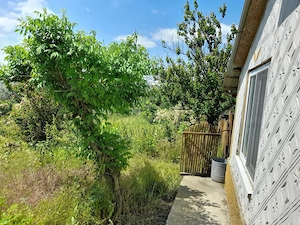 Casă cu teren de 1.470 mp de vânzare – Fântânele, Scânteiești - imagine 45