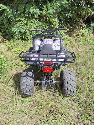 ATV pt. Copii: BEMI 125cc 2WD Hammer Spider M8'' USA automatic cu revers DNR (ATV 125 America) - imagine 3
