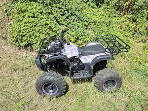 ATV pt. Copii: BEMI 125cc 2WD Hammer Spider M8'' USA automatic cu revers DNR (ATV 125 America) - imagine 2