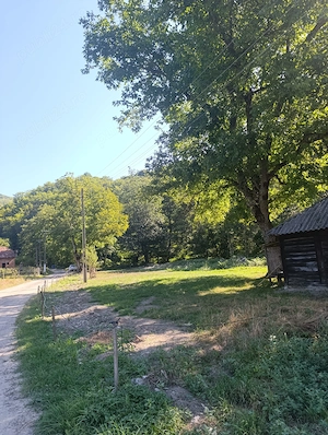 Teren intravilan 1.500 mp în sat Sârbi, comuna Halmagel   10.000 euro - imagine 5