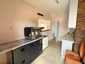 Spațiu comercial + 7.222 mp teren intravilan | Ariniș, Maramureș | Oportunitate de investiție - imagine 8