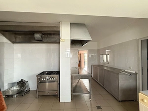 Spațiu comercial + 7.222 mp teren intravilan | Ariniș, Maramureș | Oportunitate de investiție - imagine 6