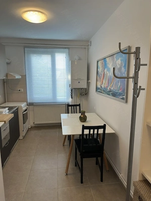 Apartament renovat Medicina Prefectura - imagine 5