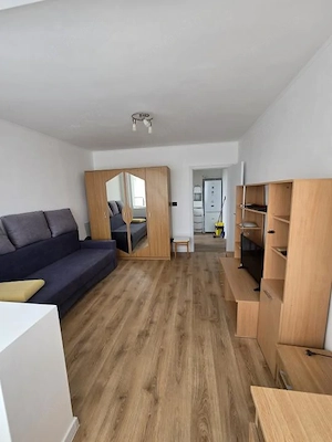 Sagului- Shopping City- 2 camere decomandat- lift- renovat  - imagine 5