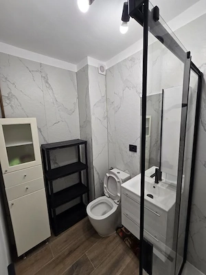 Sagului- Shopping City- 2 camere decomandat- lift- renovat  - imagine 7