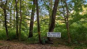 SUPER OCAZIE TEREN 4000MP DE VANZARE IN SNAGOV CU DESCHIDERE LA LACUL SNAGOV,NEGOCIABIL. - imagine 1