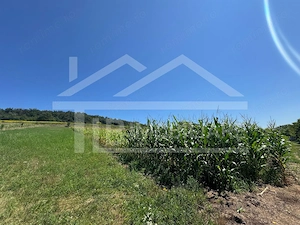 Teren, 1734mp,  intravilan, zona Remetea - imagine 2