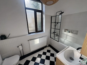 Oferta rara in vila - imagine 10