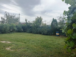 vila de inchiriat 