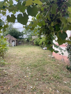 Vând casă bătrânească + teren 860 mp   Săgeata, jud. Buzău (deschidere la șosea) - imagine 8