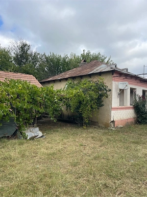 Vând casă bătrânească + teren 860 mp   Săgeata, jud. Buzău (deschidere la șosea) - imagine 7