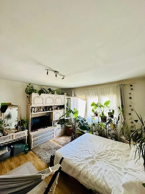 Persoana fizica vand apartament 3 camere Dorobantilor - imagine 6