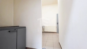 Spatiu Comercial Stradal | Calea Ferentari | Soseaua Salaj - imagine 11