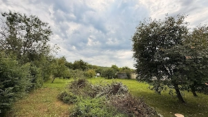 Casă de vânzare în Gornet Cricov, sat Coșerele  - imagine 9