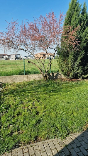 Casă de închiriat în Dumbravita – 3 dormitoare si garaj - imagine 12