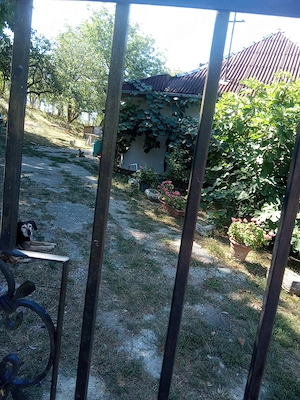 Vând proprietate deosebită