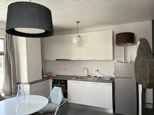 De inchiriat apartament la mansarda pentru locuit, Balcescu, cladire istorica reabilitata, lux - imagine 4