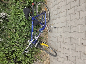 Bicicleta sportcycles
