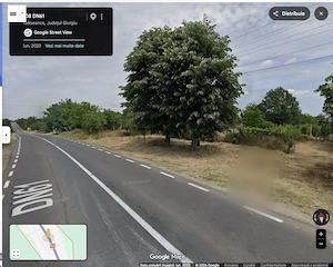 Teren intravilan 7500 mp  - imagine 5