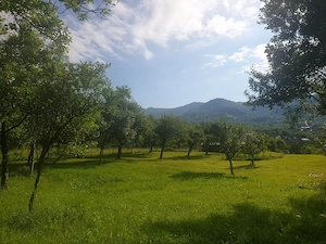 Vand teren in zona submontana a județului Argeș 