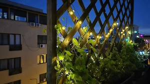 Inchiriere ap.2 camere,sector 1, Blv.Jiului, cu 2 locuri parcare subterane incluse - imagine 9
