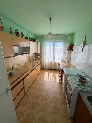 Apartament vanzare, 3 camere spațioase, 84 mp, vedere panoramică, Take Ionescu  - imagine 8