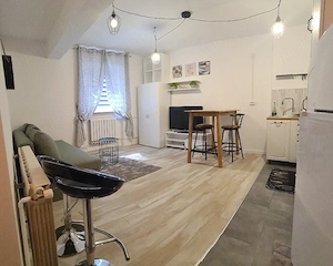 apartament tip studio la curte