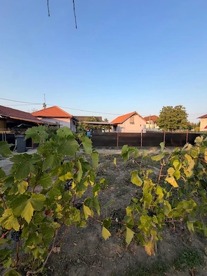 Casa de vanzare, 80 mp, teren 2330 mp, zona Arginesti - imagine 12