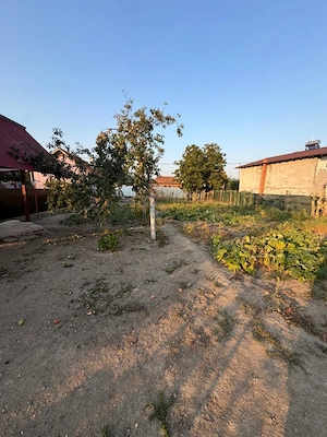 Casa de vanzare, 80 mp, teren 2330 mp, zona Arginesti - imagine 10