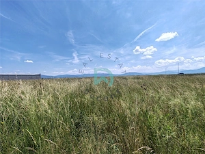 Teren industrial de vanzare, 7700 mp, Parc Industrial Prejmer - imagine 8