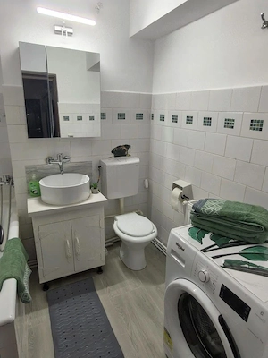 De inchiriat apartament cu 2 camere, central. etaj 3, 450 euro - imagine 5