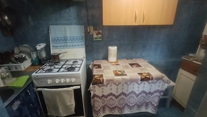 CASĂ PARTER 91MP, BRESTEI, TEREN 152MP - imagine 7