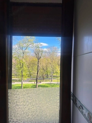 De inchiriat apartament cu 2 camere, etaj 2, Gradina Publica, 400 euro - imagine 2